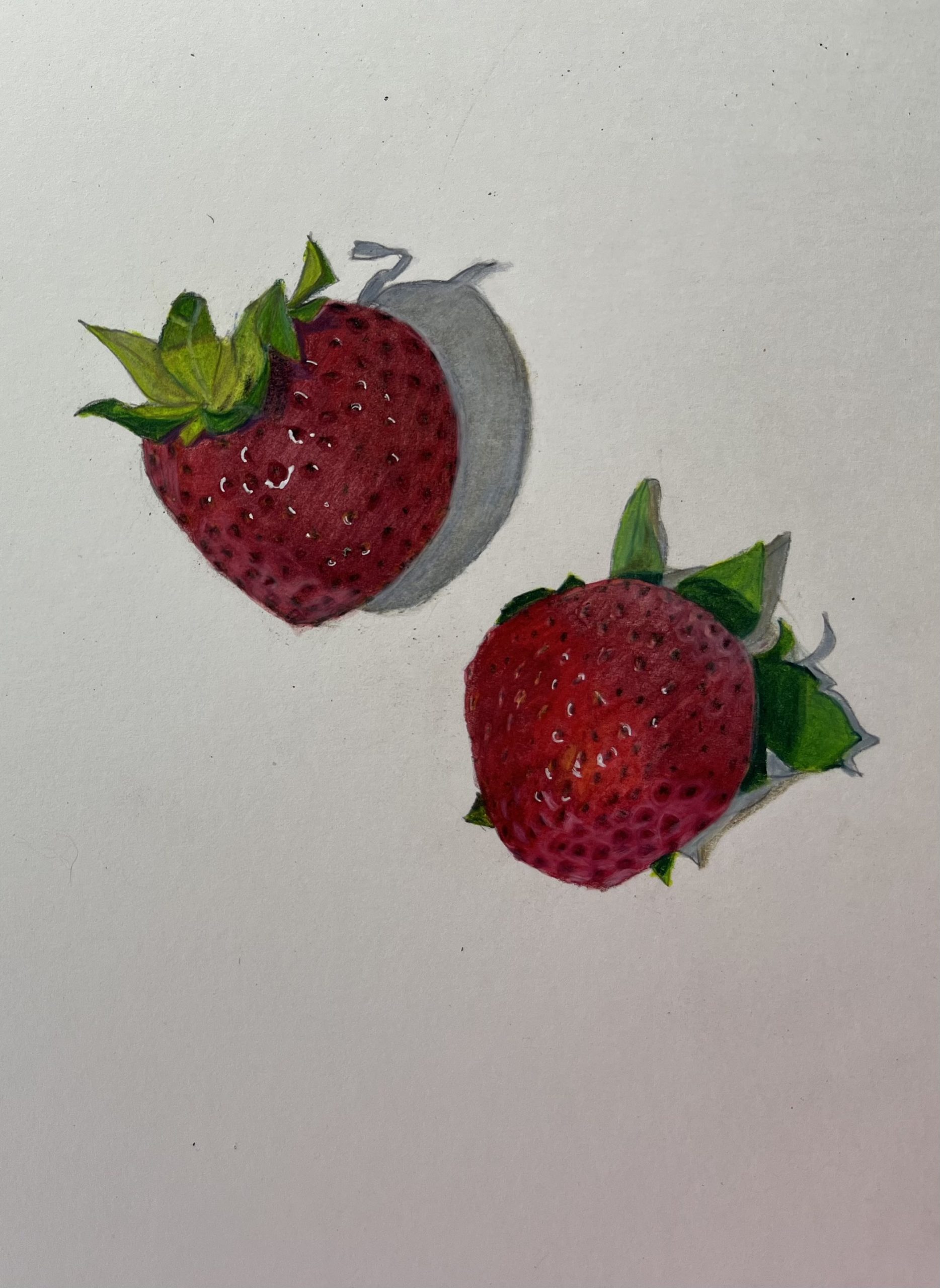 Strawberries, study in realism