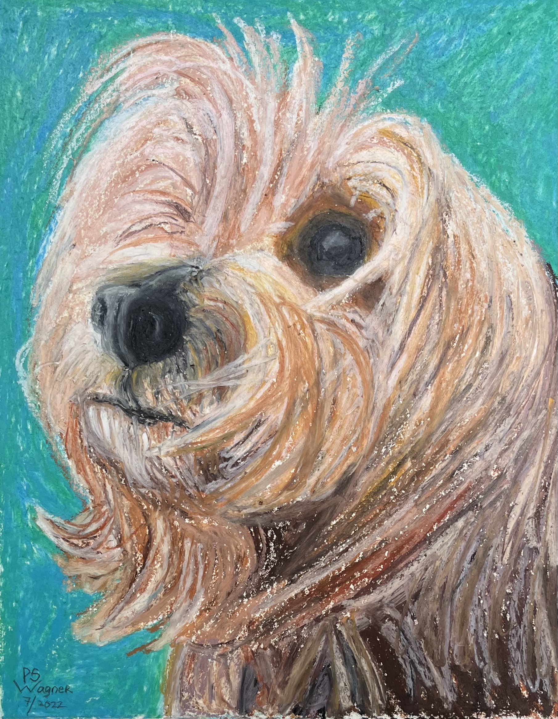 Belle, a dog portrait