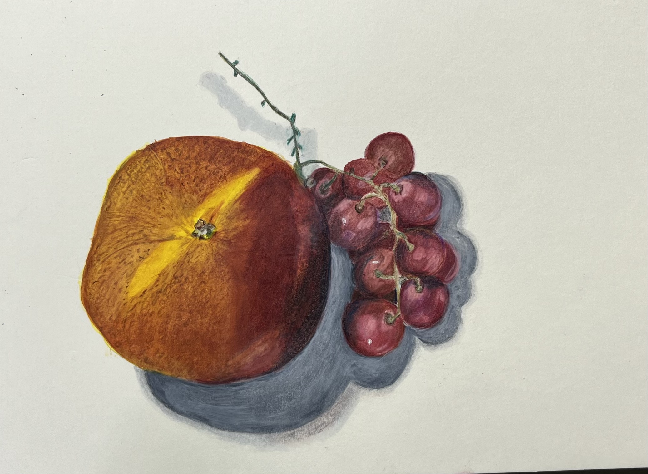 Nectarine and grapes, study in realism
