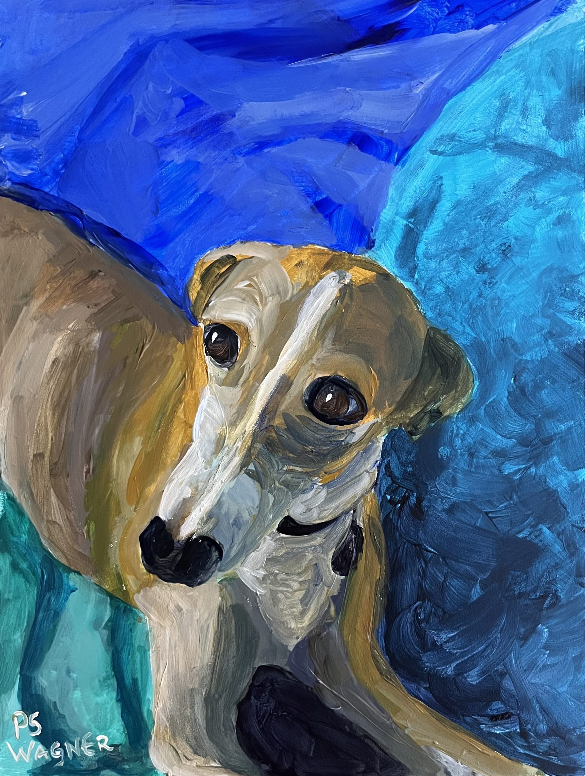 Italian Greyhound - Pet portrait