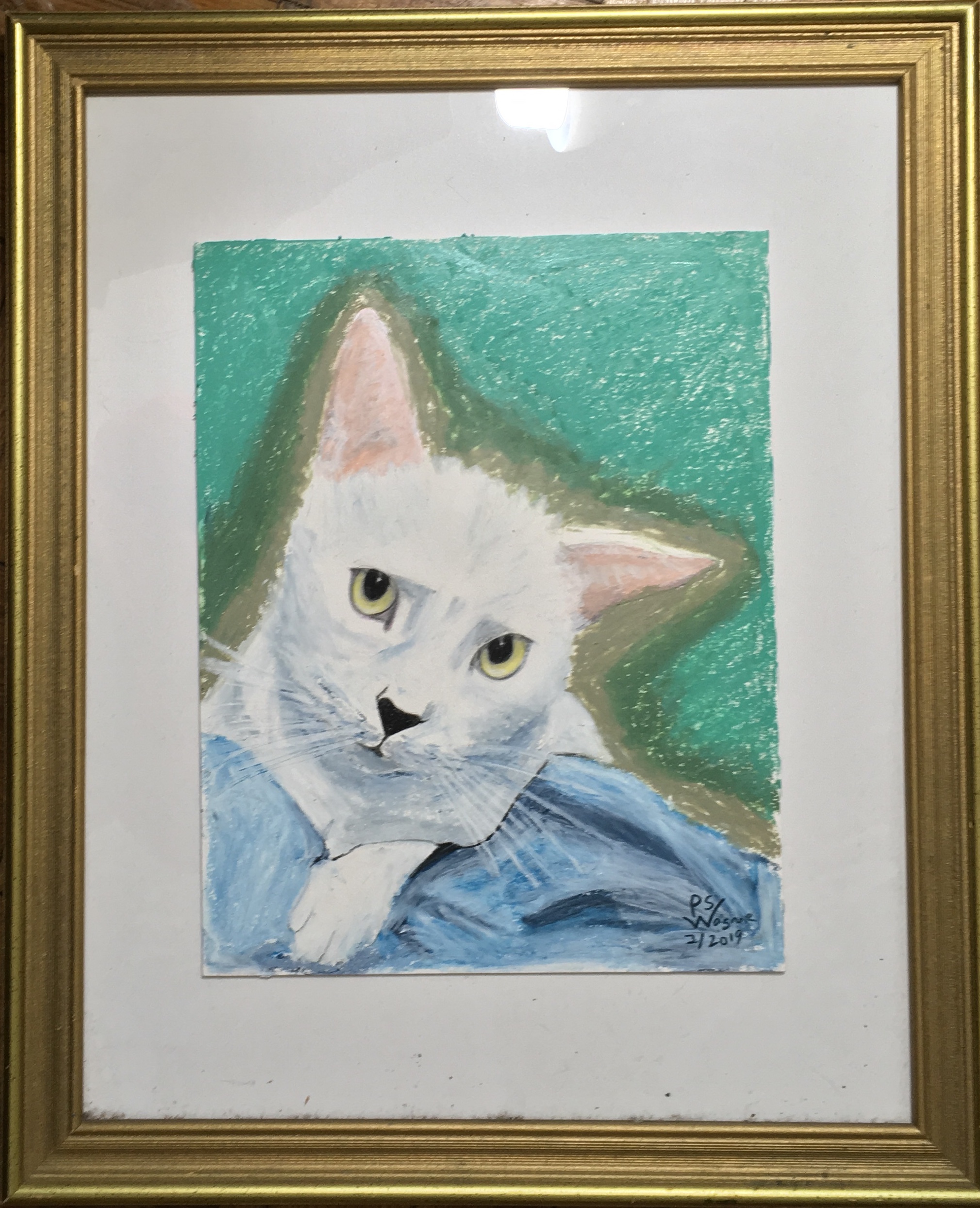 Portrait of Will, the Cat